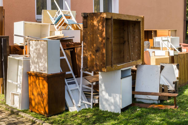 Best Carpet Removal and Disposal  in Faribault, MN